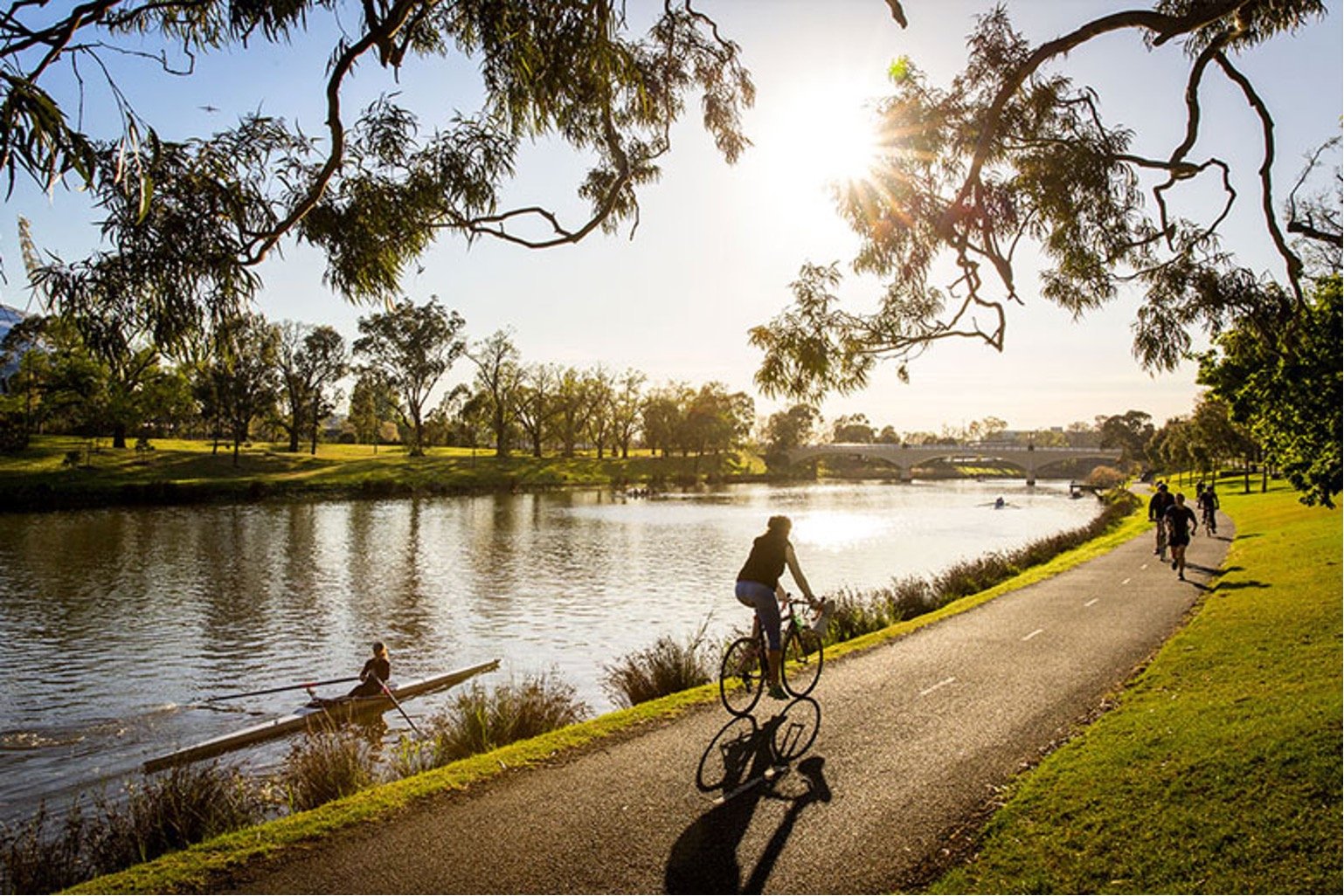 Bicyclists and rower enjoying a sunny day on the Yarra River, Melbourne.